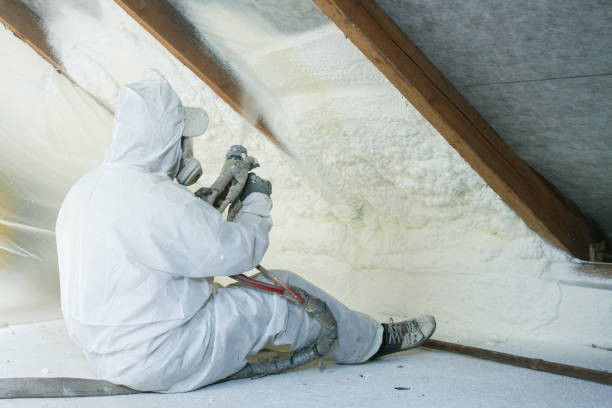 Best Wall Insulation Installation in Bellevue, NE