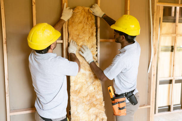 Professional Insulation Removal & Installation in Bellevue, NE